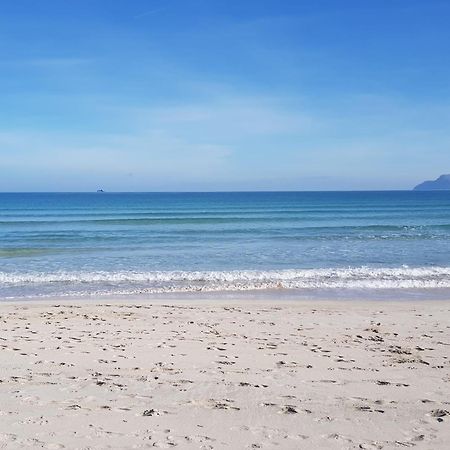 Ideal Property Mallorca - Lago Miguel 阿尔库迪亚港 外观 照片
